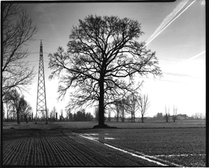 Rural observatory, Paullo, 1994