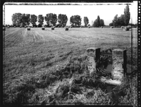 Giampietro Agostini - Rurale - Lombardia: i paesaggi della natura